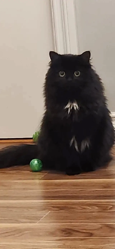 ISO 1 BDRM Apartment Image# 1