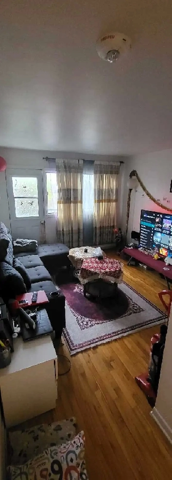 3 1/2 appartement propre meublé a louer juillet Août Image# 1