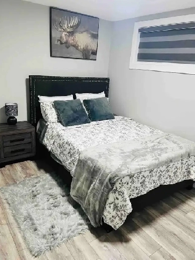 Tastefully furnished 1Bedroom Legal Basement Suite. Image# 22