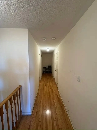 Rooms, large and bright with Livingroom and parking lot included Image# 1