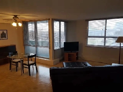 IR POSTING: Furnished one bedroom condo near Carling campus Image# 1