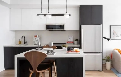 Premium 1 Bedroom for Rent - North Toronto Image# 4