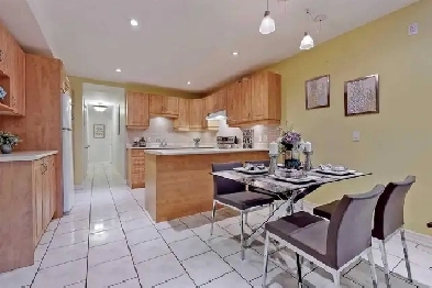 Little Italy/College & Ossington 2 Bedroom Basement Apartment Image# 3
