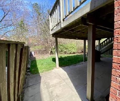 1 Bedroom Walkout Basement for Rent in Central Mississauga Image# 1