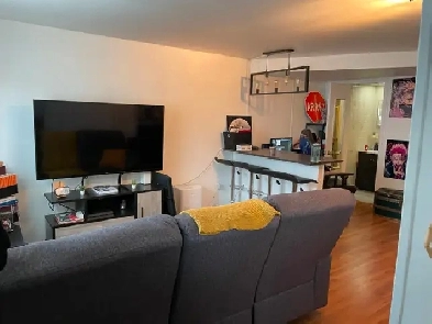 ANJOU 3 ET DEMI À LOUER Image# 1