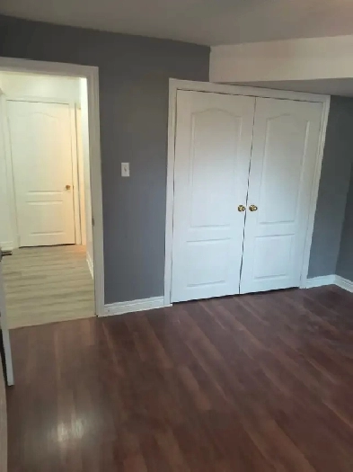 bachelor basement Image# 1