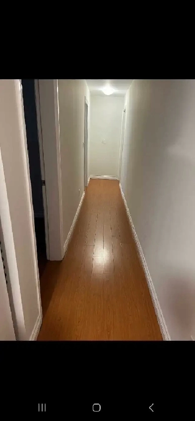 2bedroom 1bath  basement  for rent Image# 2