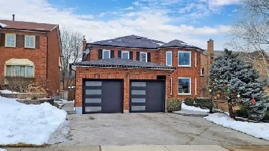 Bright & Modern 2 Bed Basement Suite in Britannia and Creditview Image# 1