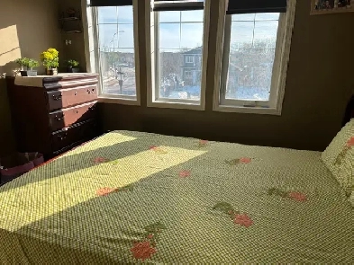 private room for rent Image# 1