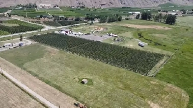 1901 Stewart Rd, Cawston, BC - 5 acres Image# 9