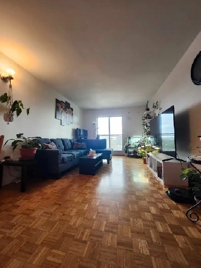 3 1/2 Apartment Lease Transfer in Le Plateau Image# 4
