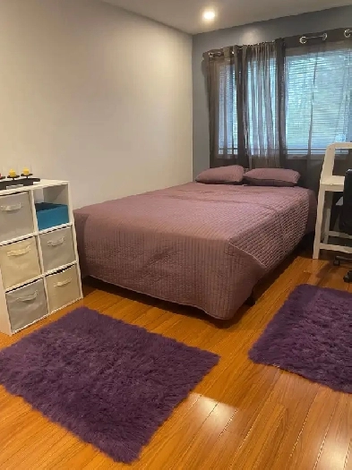 Room available with shear kitchen & entrance Image# 2