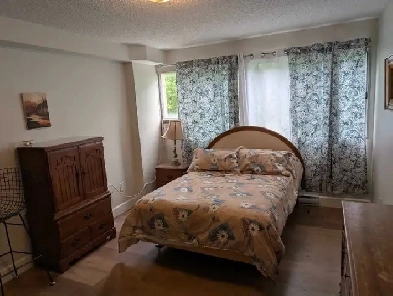 Chambre à louer Image# 1