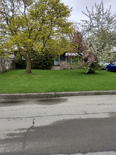 Rooms Available For Rent in Niagara Falls Image# 1