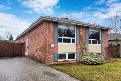 4 BEDROOM 2 BATH BUNGALOW HOUSE FOR RENT Image# 6