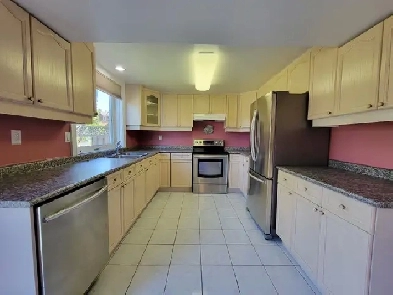 PRIVATE ROOM AVAILABLE IN WALKOUT BASEMENT FROM APRIL 1 Image# 1