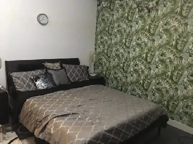 MASTER BEDROOM FOR RENT NEAR SHERIDAN COLLEGE FOR GIRLS ONLY. Image# 1