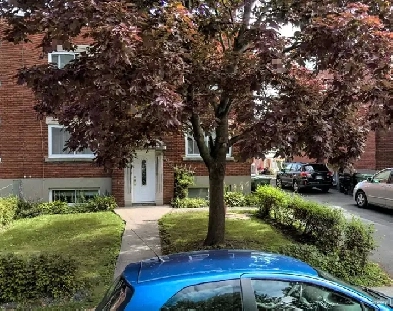 Studio apartment NDG, near shops, buses, sunny, quiet building Image# 1
