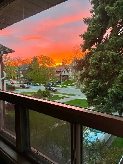 1 bedroom 1 bath High Park Blvd Image# 1
