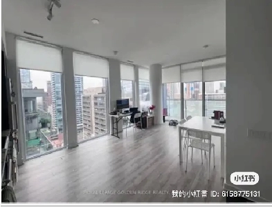 28 wellesley one room for rent. Image# 3