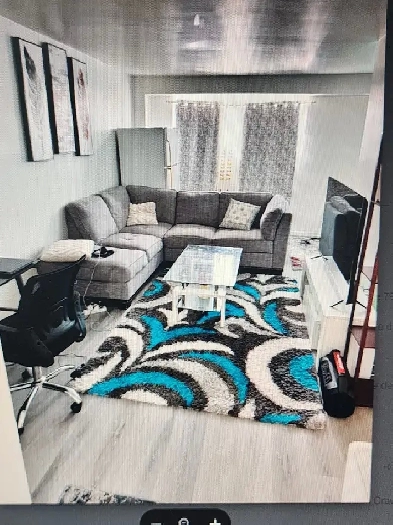 APPARTEMENT 4 1/2 DEMI SOUS-SOL - MERCIER HOCHELAGA – JUILLET Image# 1