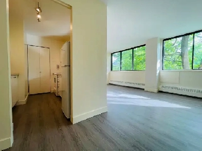 Grande Studio à l’Île-des-Sœurs – Disponible maintenant Image# 1