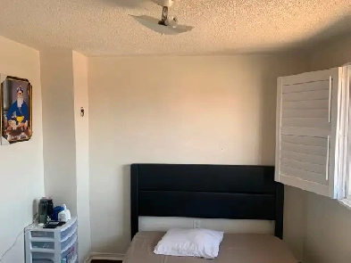 NEED ONE GIRL FOR PRIVATE ROOM IN HOUSE Image# 1