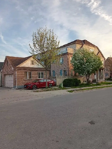 room for rent (Male only) Image# 1