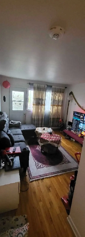 appartement 3 1/2 propre meublé pour juin juillet Août Image# 1