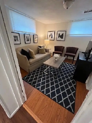 one bedroom  den furnished in the basement Image# 4