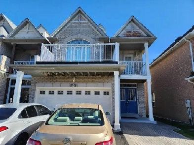 Basement for Rent in Maple Vaughan Image# 2