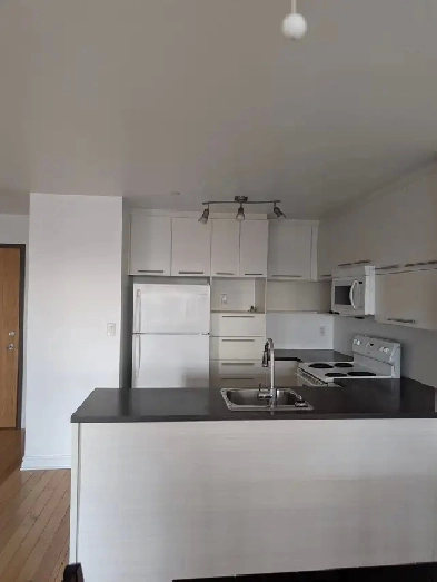 appartement 4 1/2 Image# 10