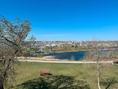 2 bedroom apartment - beautiful views Image# 3