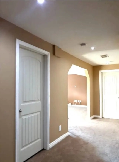 1 Bedroom 1 Bathroom Basement Suite for Rent Image# 2