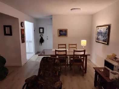2 mois gratuit  Appartement 1 chambre à louer Image# 4