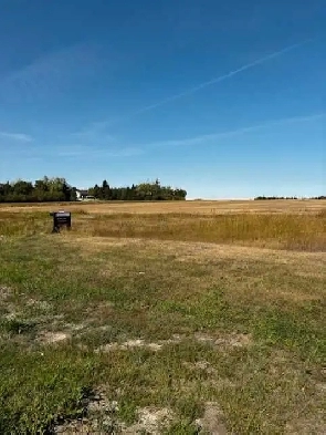real-estate Image# 2