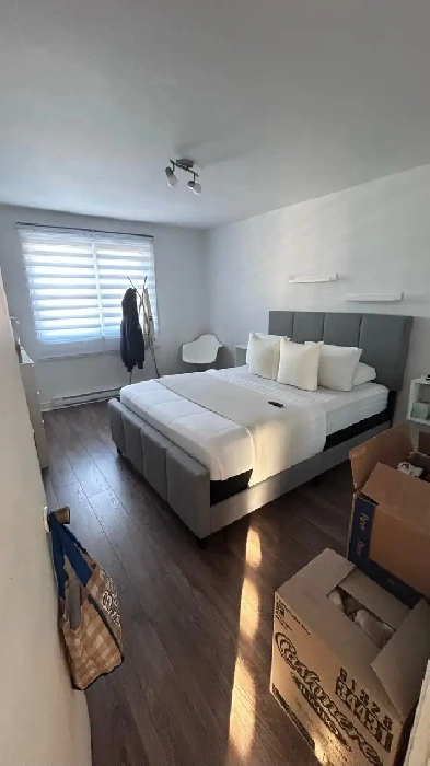 4 1/2 Rosemont –  Triplex -  2 Balcons - Renover Image# 1