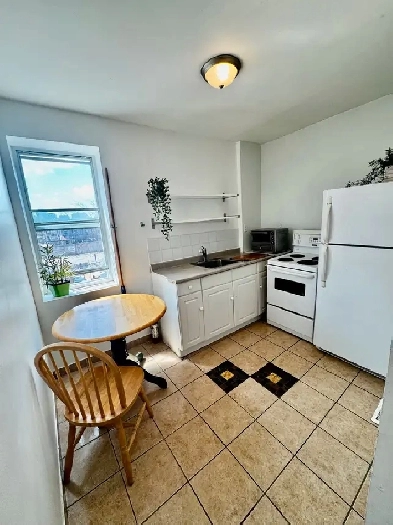 JUNCTION UPPER LEVEL RENTAL 2 LARGE BEDROOM Image# 9