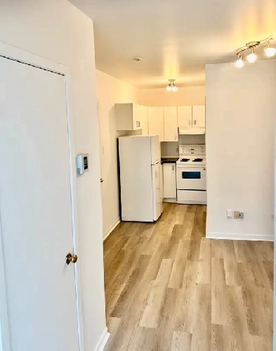 2 1/2 - $950/ mois / TOUT INCLUS/  ROSEMONT- PETITE PATRIE Image# 1