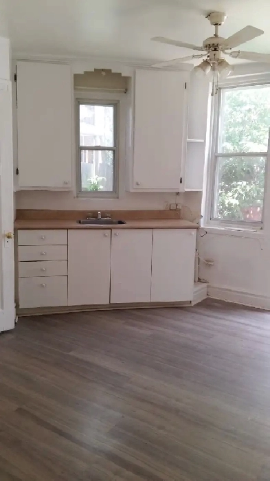 4 1/2 logement à louer metro Jolliette/Préfontaine,1 juillet Image# 1