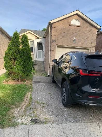 Scar main floor Shared $600.Bas $500.416 283 8275. Image# 1