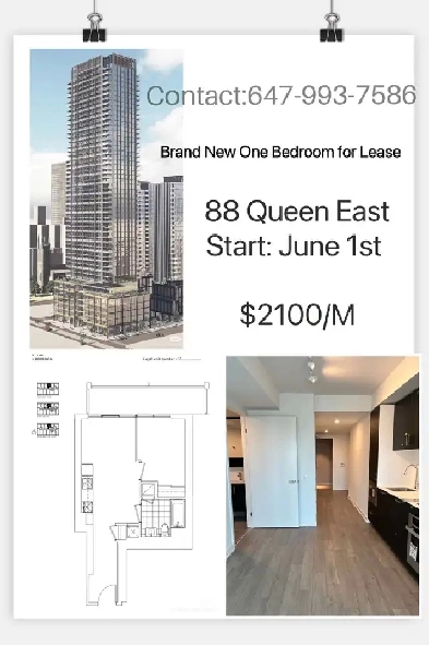 Brand new one bedroom at Downtown Toronto for rent Image# 10