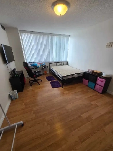 Room for rent in 3bdr apt
