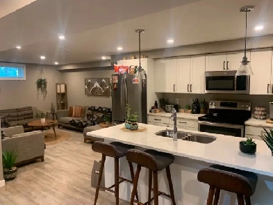 Private Yard,  Pet friendly 2 bedroom Luxury Suite Image# 5
