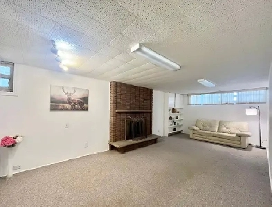 ark View House Close Subway & Seneca College & UOT& Mall Image# 2