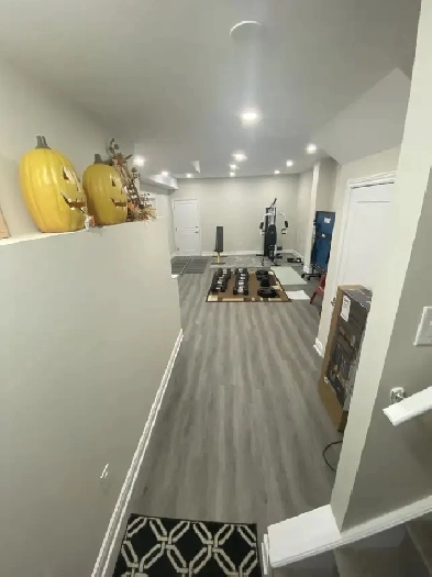 BRAND NEW BASEMENT FOR RENT IN CALEDON EAST Image# 1