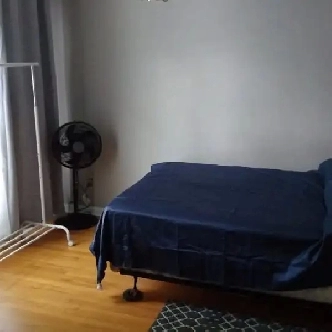Immed/June- Merivale/Hunt Club-LRG 16X12 furn room-See VIDEO's Image# 2