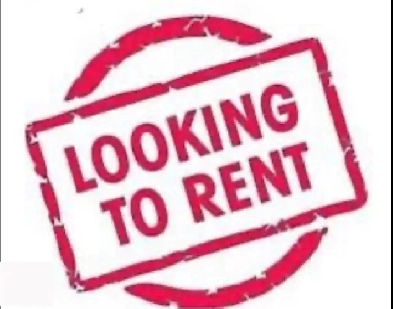 family looking for rental house asap Image# 1