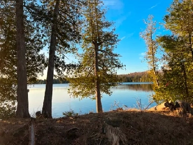 1.7-acre lake access lot on Lake of the Woods, Lakeland Ridges Image# 7