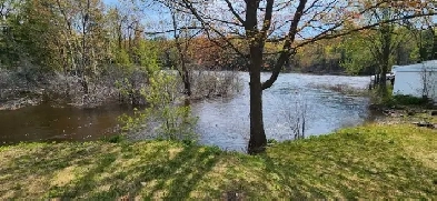 A spacious onebdrm Apart. with river view for rent Image# 9